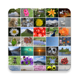 Фотобук иконка