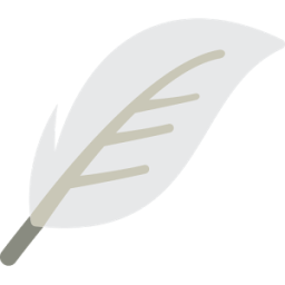 كتابة على الصور المطور icon