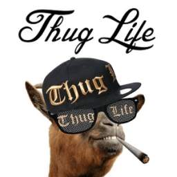 Thug Life 1.10
