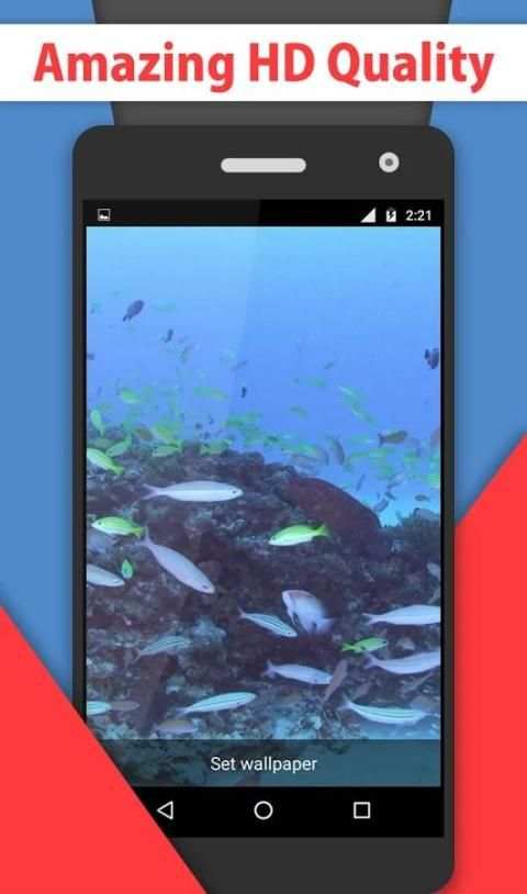 Tropical Colorful Fish lwp скриншот 7