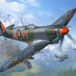 Ace Fighter Pilot icon