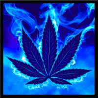 Blue Weed Rasta Keyboard