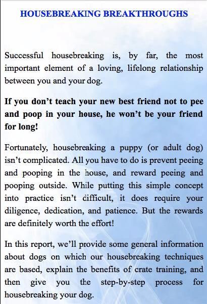 How To Train A Dog Easily скриншот 6