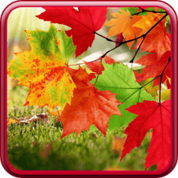 Autumn Live Wallpaper आइकन
