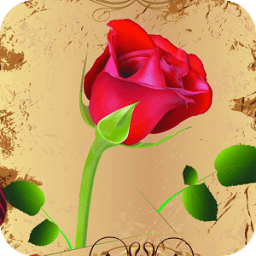 ikon Rose Live Wallpaper