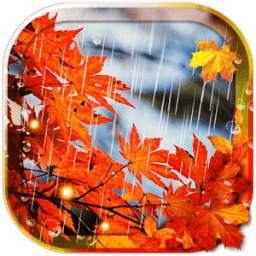 Autumn Rain LWP 1.0
