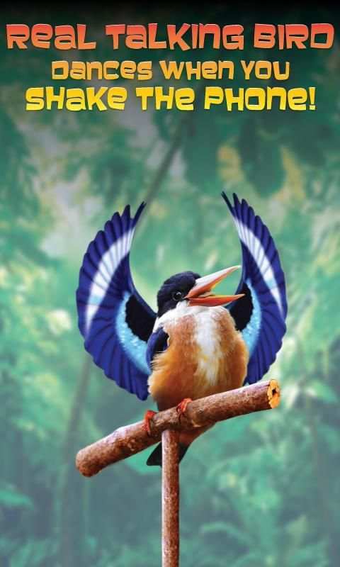 Real Talking Bird скриншот 2