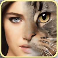 Face Morphing on 9Apps