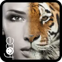 InstaFace