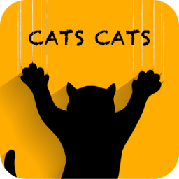 Кошки Кошки иконка