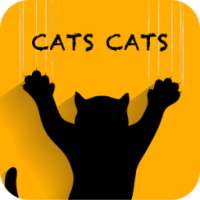 Кошки Кошки