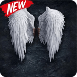 Angel Wallpaper Phone HD иконка