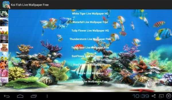 Koi Fish Live Wallpaper Free स्क्रीनशॉट 5