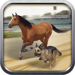 Horse vs Dog Wild Chase