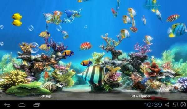 Koi Fish Live Wallpaper Free स्क्रीनशॉट 2