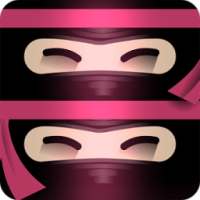 The Last Ninja Twins logo