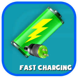 ikon Fast Battery Charger Pro