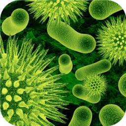 Biology.Bacteria.Live wallpaper 1.0