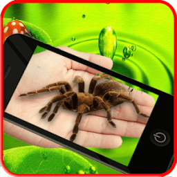 ikon Spider on hand Camera Prank