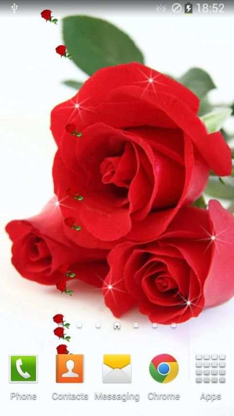 Rose Live Wallpaper screenshot 5