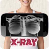 X-Ray Body Clothes Scanner