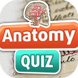 Anatomy Fun Free Trivia Quiz