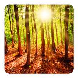 ikon Forest Live Wallpaper