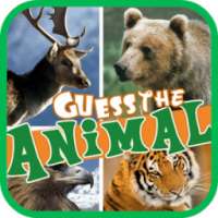 Guess the Animal 2015