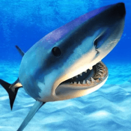 Angry Shark Killer Attack आइकन