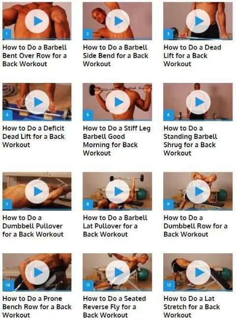 Back Workouts स्क्रीनशॉट 2