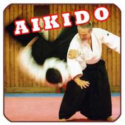 Aikido Training Free icon