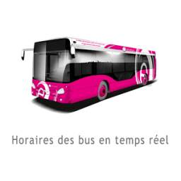 Horaires Bus 1.3.5
