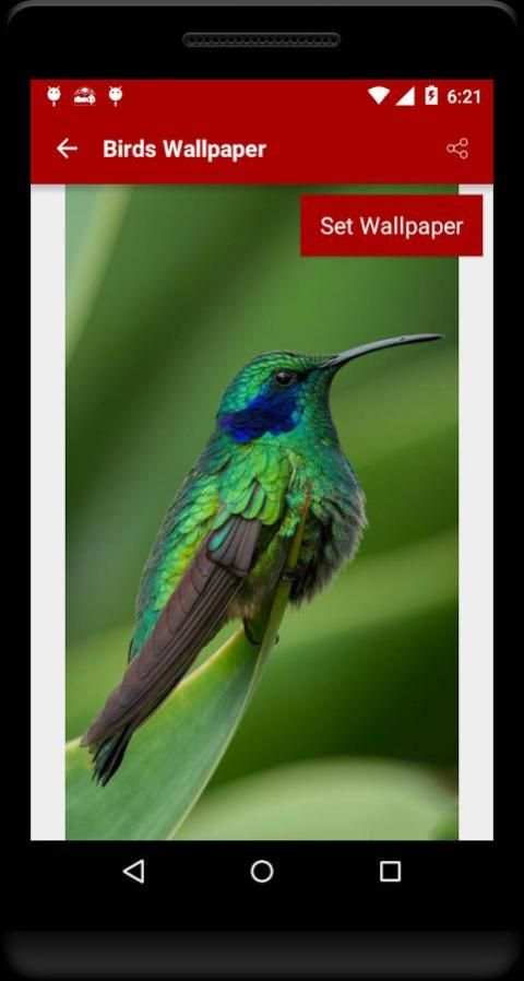 Birds Wallpaper स्क्रीनशॉट 1