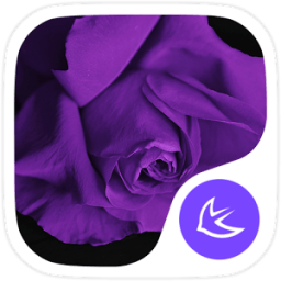 ikon Purple Flower theme for APUS