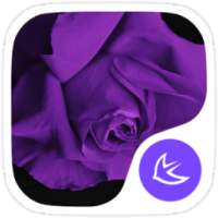 Purple Flower theme for APUS