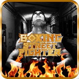 ikon Boxing Street Fighter