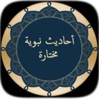 أحاديث نبوية مختارة بدون نت on 9Apps