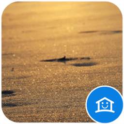 Golden Sunshine Beach 2.0