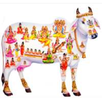 Gau Seva आइकन