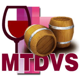 MTDVS El Juego أيقونة