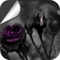 Dark Flower Theme