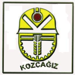 Kozcagiz Resimleri 1