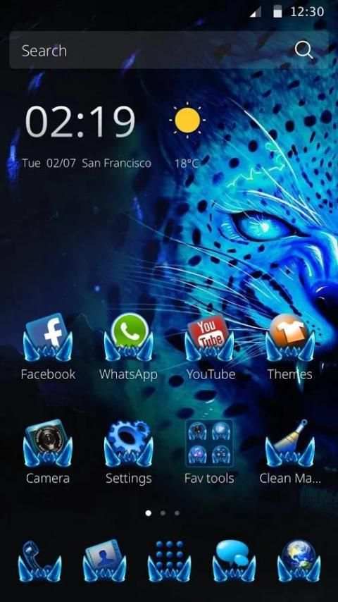 Leopard Theme screenshot 3