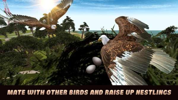 City Bird Eagle Simulator 3D screenshot 2