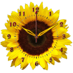Sunflower Clock icon