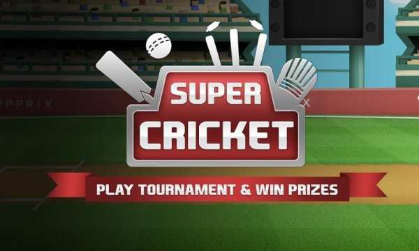 Super Cricket Fever स्क्रीनशॉट 3