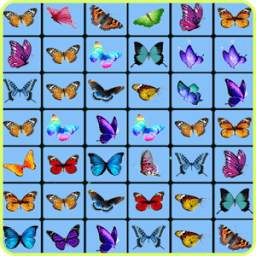 Onet Animals Butterfly