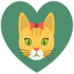 Cat Care icon