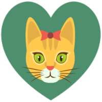 Cat Care on 9Apps