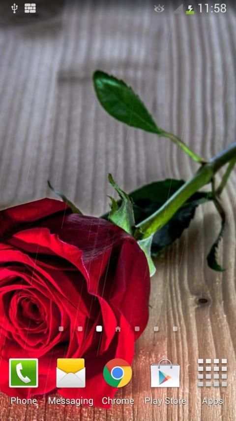 Rain Rose Live Wallpaper screenshot 3